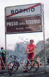 Stelvio.jpg (41820 byte)